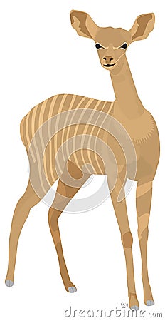 young brown kudu deer animal vector illustration transparent background Vector Illustration