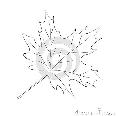 It is decorative element for decorating autumn designs maple leaf Stock Photo