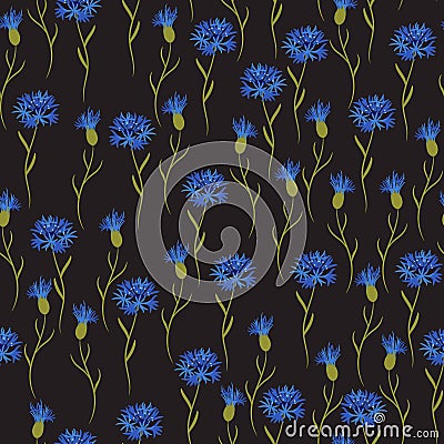 Simple Cornflower wild flowers floral seamless pattern on a black background. Stock Photo