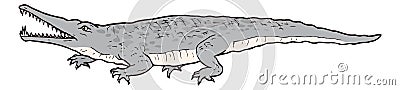 rutiodon crocodile dinosaur ancient vector illustration transparent background Vector Illustration