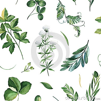 Watercolor Greenery seamless texture with fern,herb,leaves,branches. Stock Photo