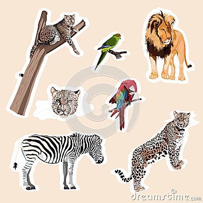 Big set of cute cartoon animal stickers, zebra, leopard, lion, jaguar, parot bird. Stock Photo