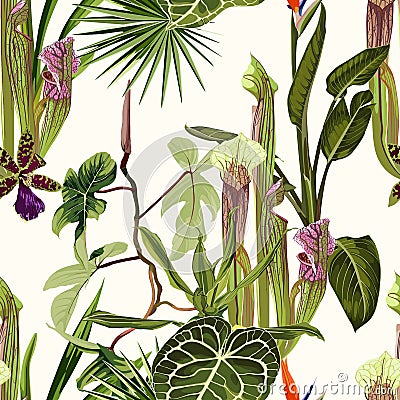 Tropical seamless pattern. Summer print. Jungle rainforest. Sarracenia, genus of carnivorous plants. Stock Photo