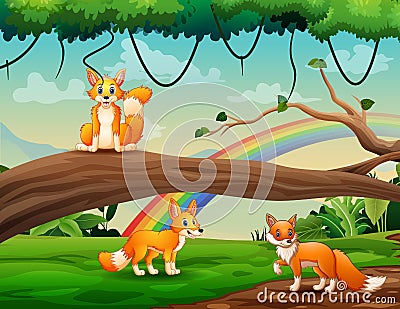 Cute three foxes cartoon playing at the jungle Vector Illustration