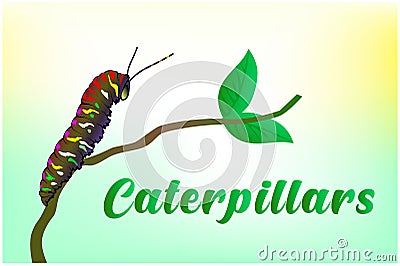 Caterpillar vector illustrations Vector Illustration