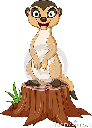 Cartoon meerkat standing on tree stump Vector Illustration