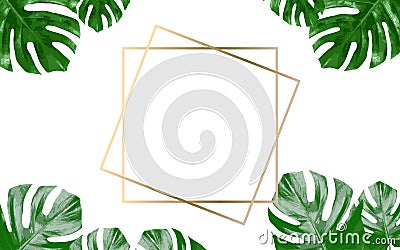 Lots of bright green tropical leaves as a background with a gold stripe in the middle. Vector Illustration