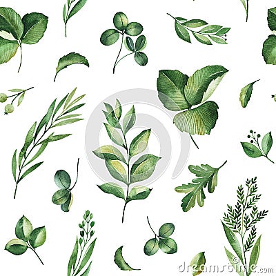 Watercolor Greenery seamless texture with fern,herb,leaves,branches. Stock Photo