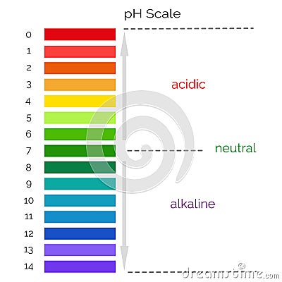 Vertical pH scale for measuring acid alkaline balance. Vector Illustration