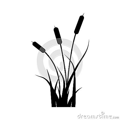 Reeds and grass black silhouette. Vector Illustration