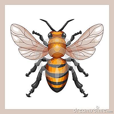 Realistic mascot drawing of bees with full of detail Vector Illustration