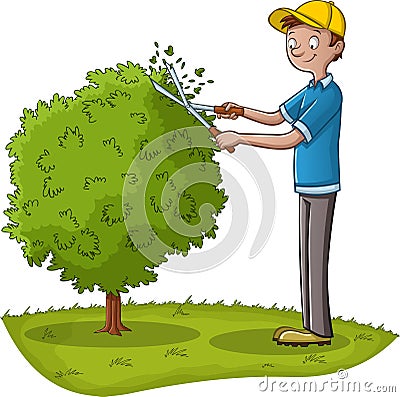 Cartoon gardener pruning a tree. Vector Illustration