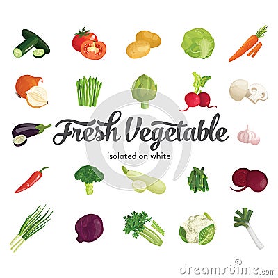 beautiful fresh vegetable isolated on white and white background Vector Illustration