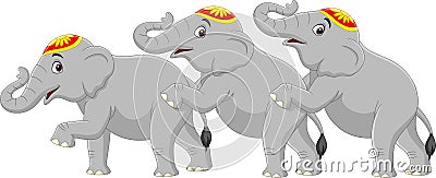 Three cute elephant circus cartoon Vector Illustration