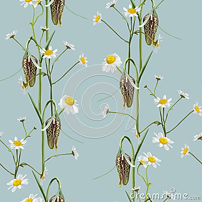 Meadow wildflower seamless pattern. Botanical camomile, fritillary Fritillaria background. Cartoon Illustration