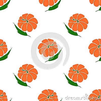 Orange colored pumpkin with green leaves isolated on white background is in Seamless pattern Vector Illustration