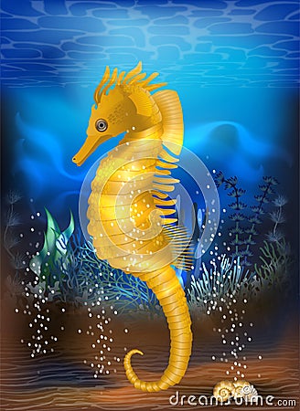 Underwater tropical card with seahorse, vector Vector Illustration