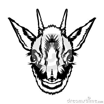 Dik dik face vector iilustration in hand drawn style Vector Illustration