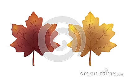 Autumn brown leaf Vector Illustration