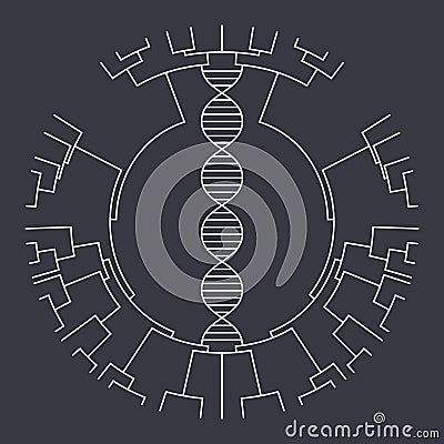 Phylogenetic tree science vector illustration graphic design Stock Photo