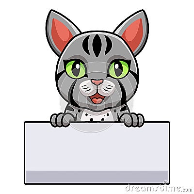 Cute egyptian mau cat cartoon holding blank sign Vector Illustration