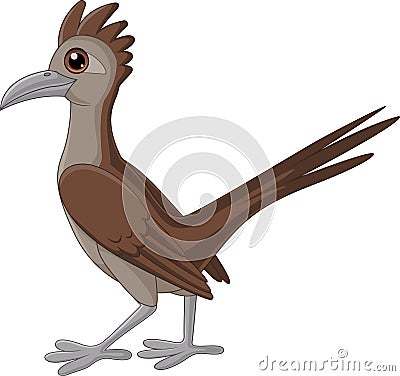 Cartoon roadrunner bird on white background Vector Illustration