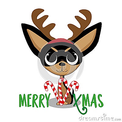 Merry Xmas - cute chihuahua dog in antler, with candy cane Vector Illustration