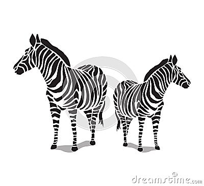 standing zebra illustration vector, zebra animal icon design. Vector Illustration