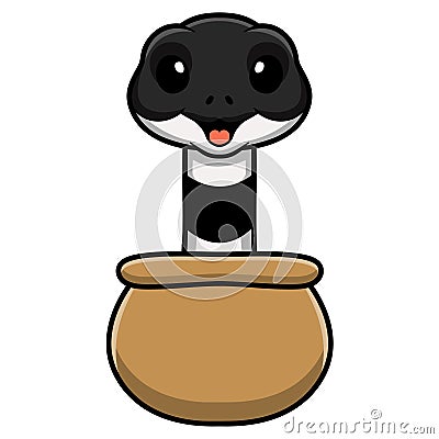Cute banded krait snake cartoon out from pot Vector Illustration