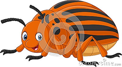 Cartoon colorado beetle on white background Vector Illustration