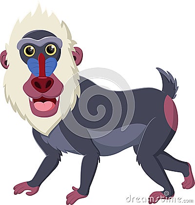 Cartoon mandrill baboon isolated on white background Stock Photo