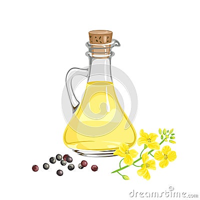 Canola seed oil in glass bottle, yellow flower and heap of seeds isolated on white background. Vector Illustration