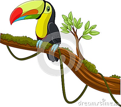 Cartoon toucan bird on a tree branch Vector Illustration