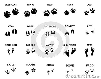 Large set of animal and bird footprints isolated on white. Vector Illustration