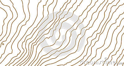 Gold wooden pattern. Wood grain texture. Dense lines. Abstract white background. Vector Vector Illustration