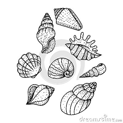 Doodle line art element clipart snail shiled illustration Vector Illustration