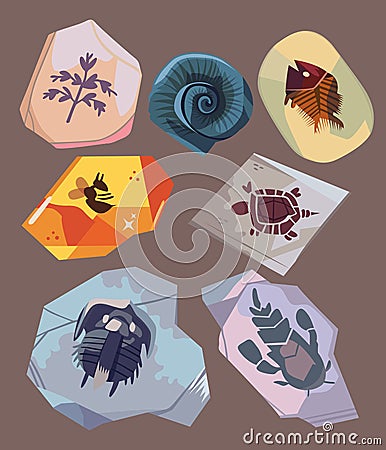 set of old rock illustration collection containing fossil skeletons of ancient animals and plants Vector Illustration