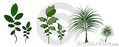 green leaf pack vector illuatration Vector Illustration