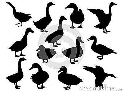 Set of duck silhouette vector art on a white background Vector Illustration