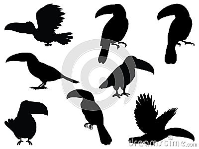 Set of toucan silhouette vector art on a white background Vector Illustration