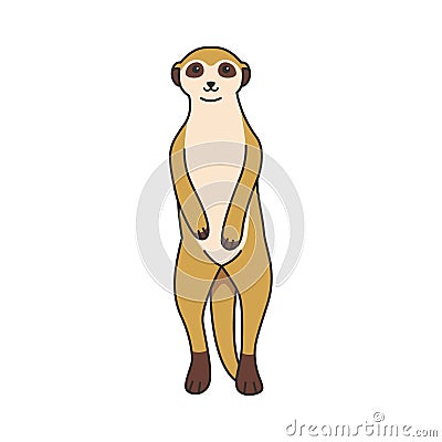 Cute cartoon meerkat Cartoon Illustration