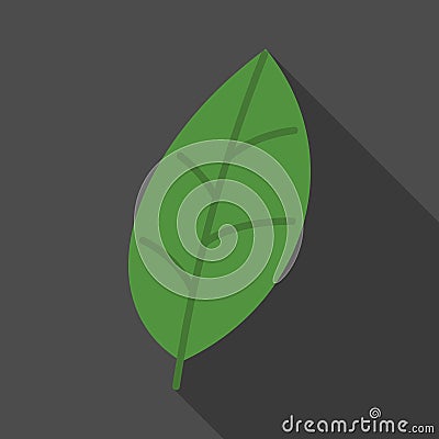 Green leaf on black background flat icon with long shadow. Biology icon pictogram vector. Tree, plant, chlorophyll, botanist Vector Illustration