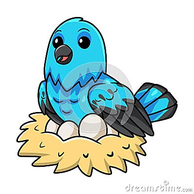 Cute spangled cotinga bird cartoon with eggs in the nest Vector Illustration