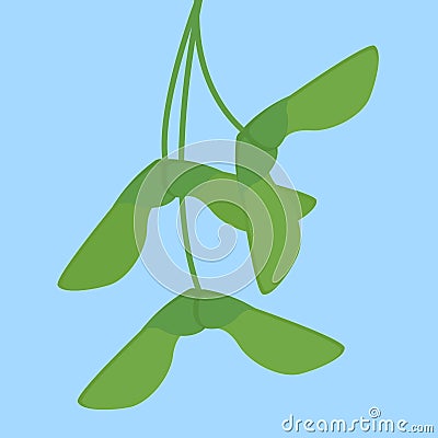 Branch of green hops on blue background. Vector Illustration