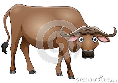 Cute buffalo cartoon standing on white background Cartoon Illustration