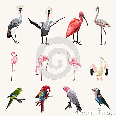 Big set of cute exotic birds illustration. Set of stickers, pins, patches Cartoon Illustration