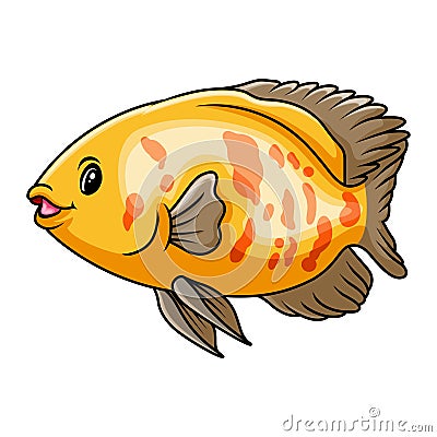 Oscar fish cartoon a swimming Vector Illustration