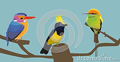 flock of birds Cartoon Illustration