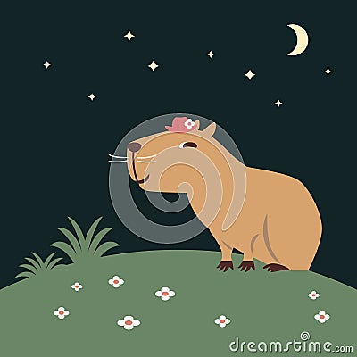 A cute capybara is on the lawn at night Vector Illustration