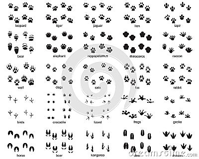 Set of footprints of wild animals Cartoon Illustration